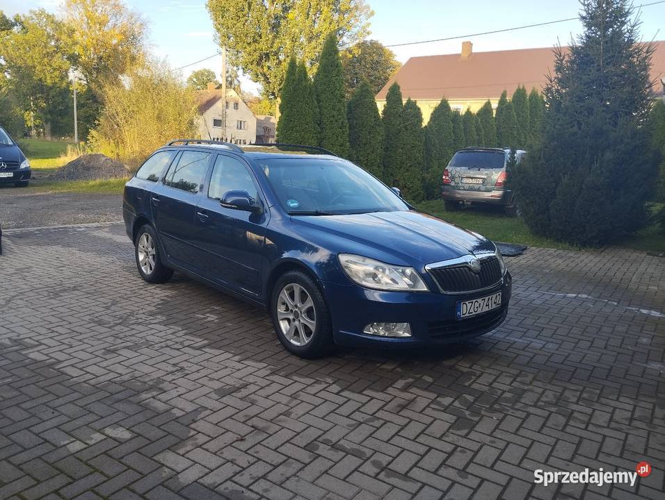 Skoda Octavia II Żarka nad Nysą