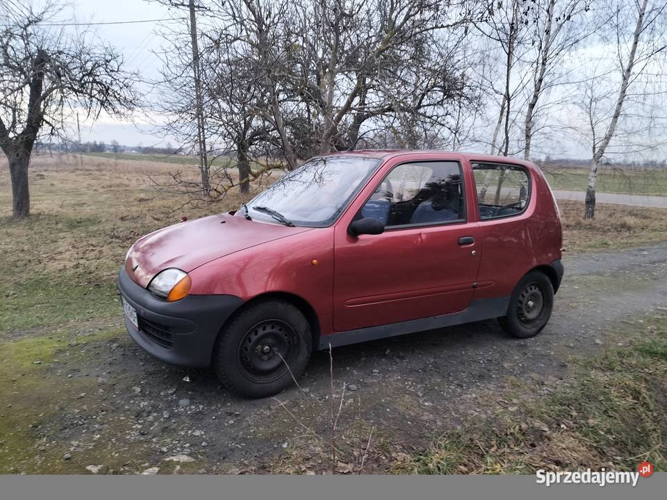 Sejak 39KM Seicento Płońsk