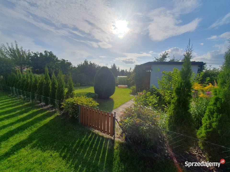 Działka ROD Kraszewskiego Pruszcz Gdański sprzedam