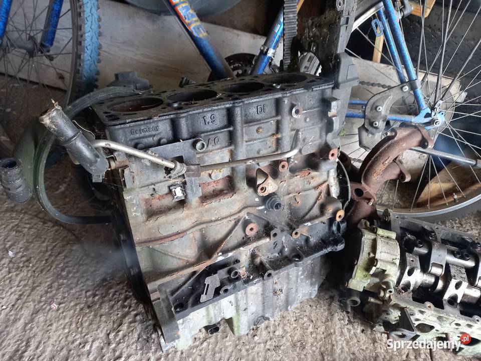 Silnik Vw Transporter T5 19 TDI świętokrzyskie Mniów