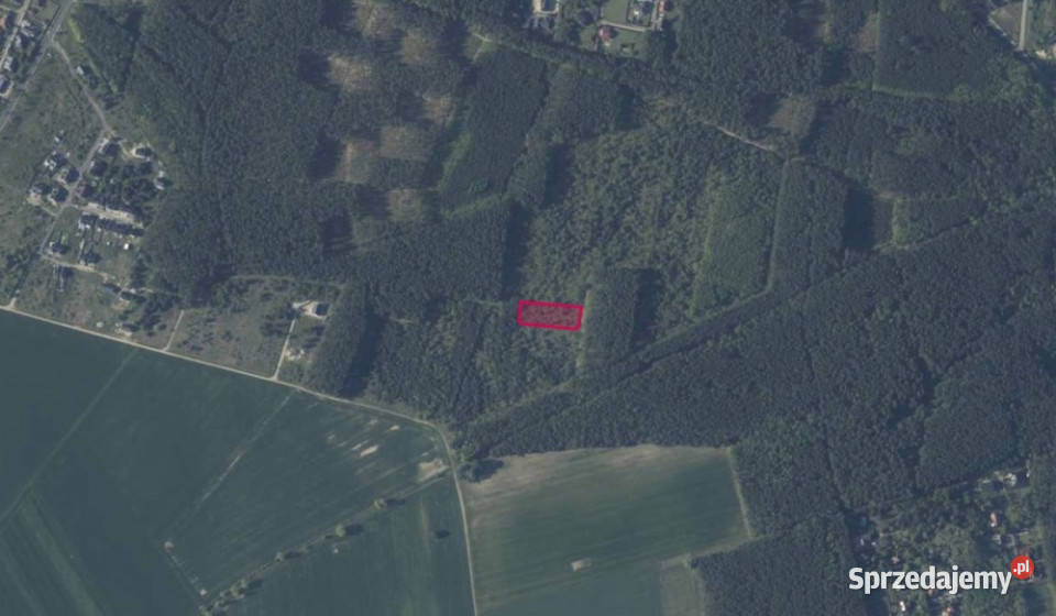 Działka 13425 w Kobylance Sprzedaż