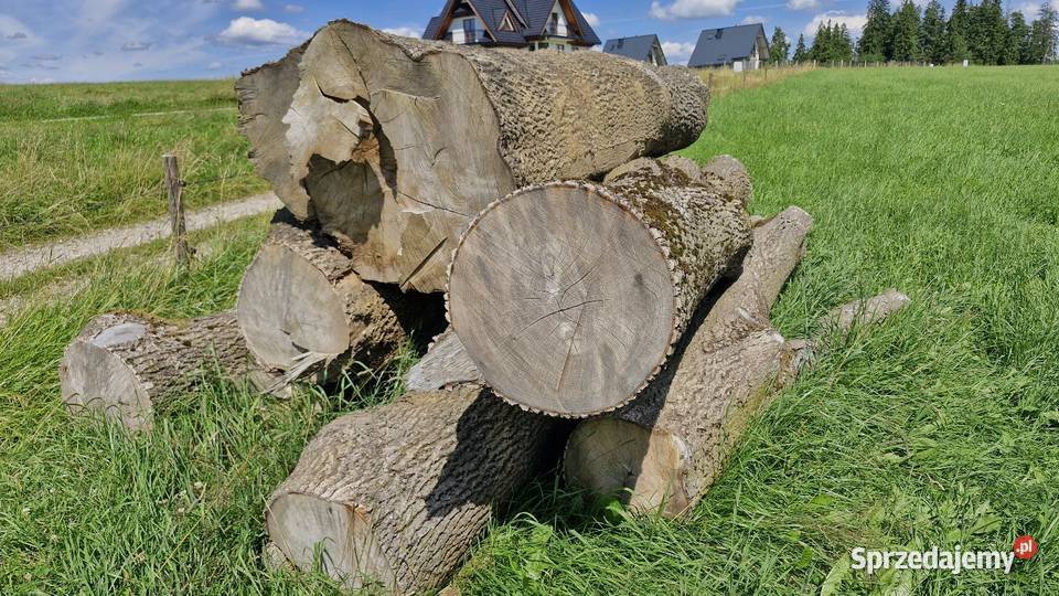 Drzwo w klockach Jesion Maruszyna