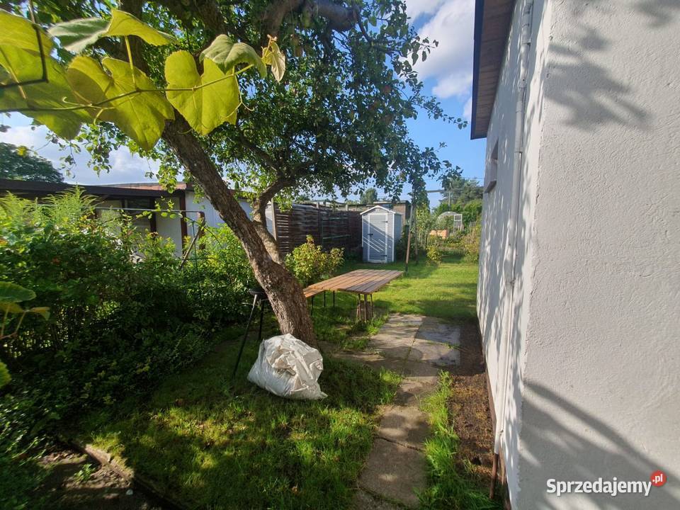 Działka ROD Kraszewskiego szambo Pruszcz Gdański