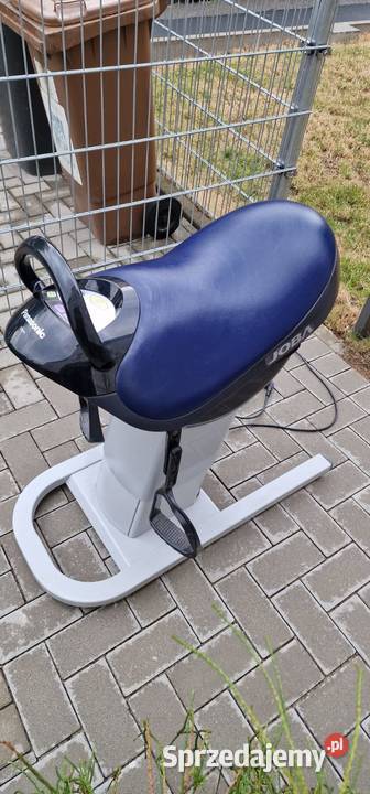 Panasonic Joba Hipoterapia Symulator jazdy lubuskie Zielona Góra sprzedam