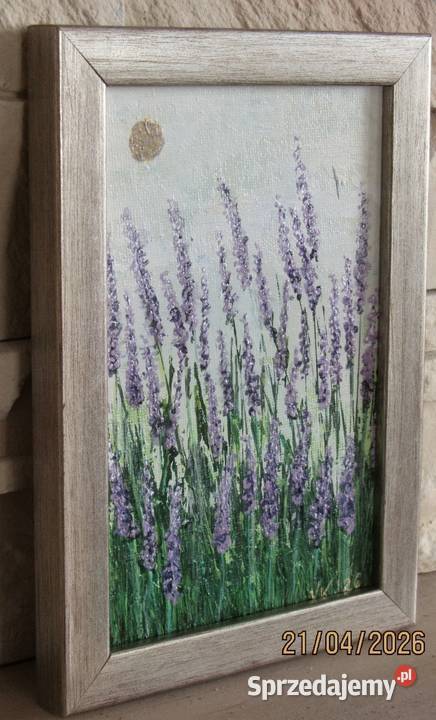 Lawenda lubelskie Bychawka Trzecia