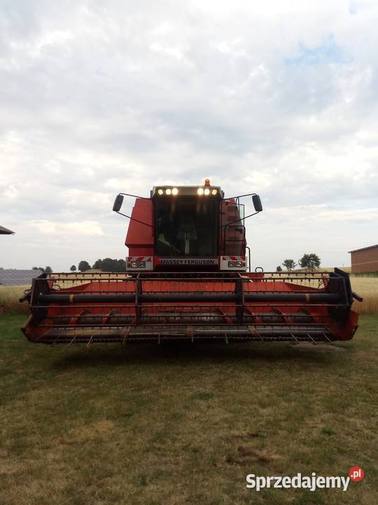 Kombajn zbożowy MASSEY FERGUSON 40 nie 38 Massey Ferguson Gorzów Śląski sprzedam