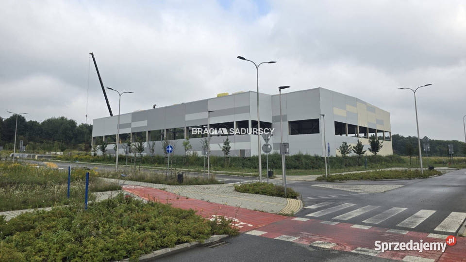 Lokal 4100m2 Kraków Igołomska