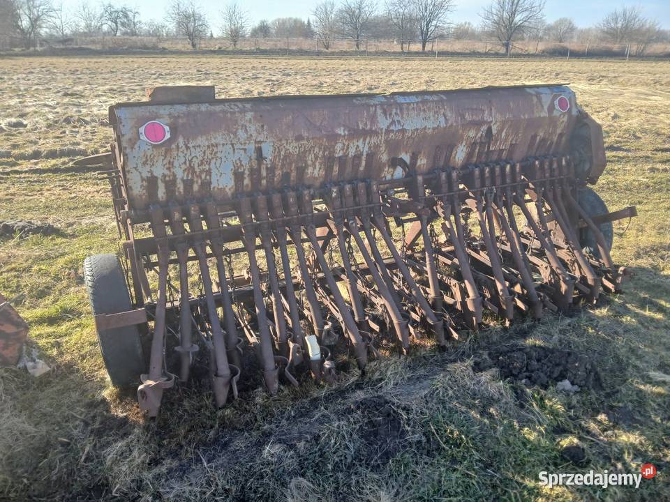 Siewnik Poznaniak podkarpackie Widełka