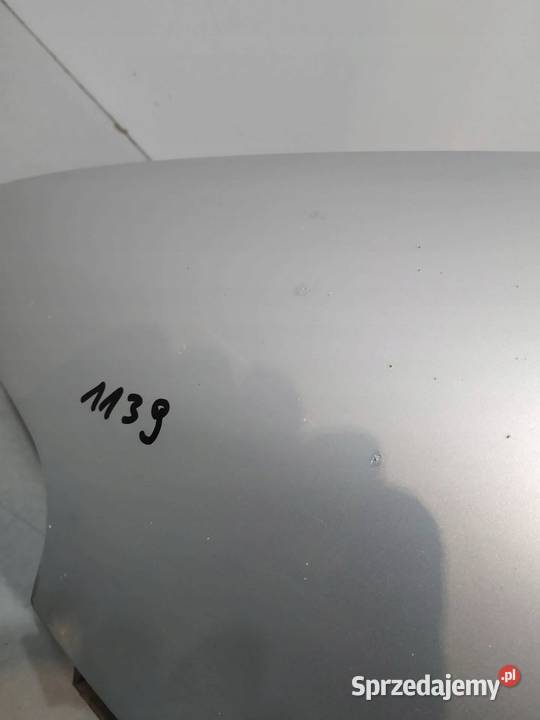 BŁOTNIK LEWY PRZÓD SREBRNY TOLEDO II Seat Leon I