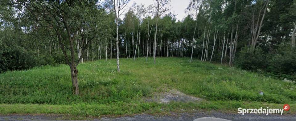 Sprzedam działkę rekreacyjną Sprzedaż Rybna
