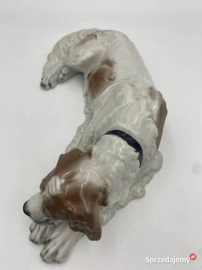 Porcelanowa figura Lężący pies Rosenthal Selb ok Porcelana i szkło Poznań