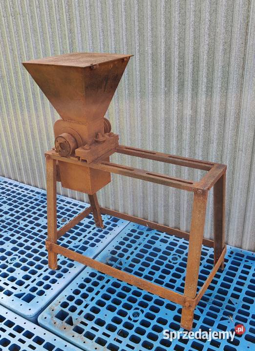 Kościarka wilk do kości wielkopolskie Korytnica sprzedam