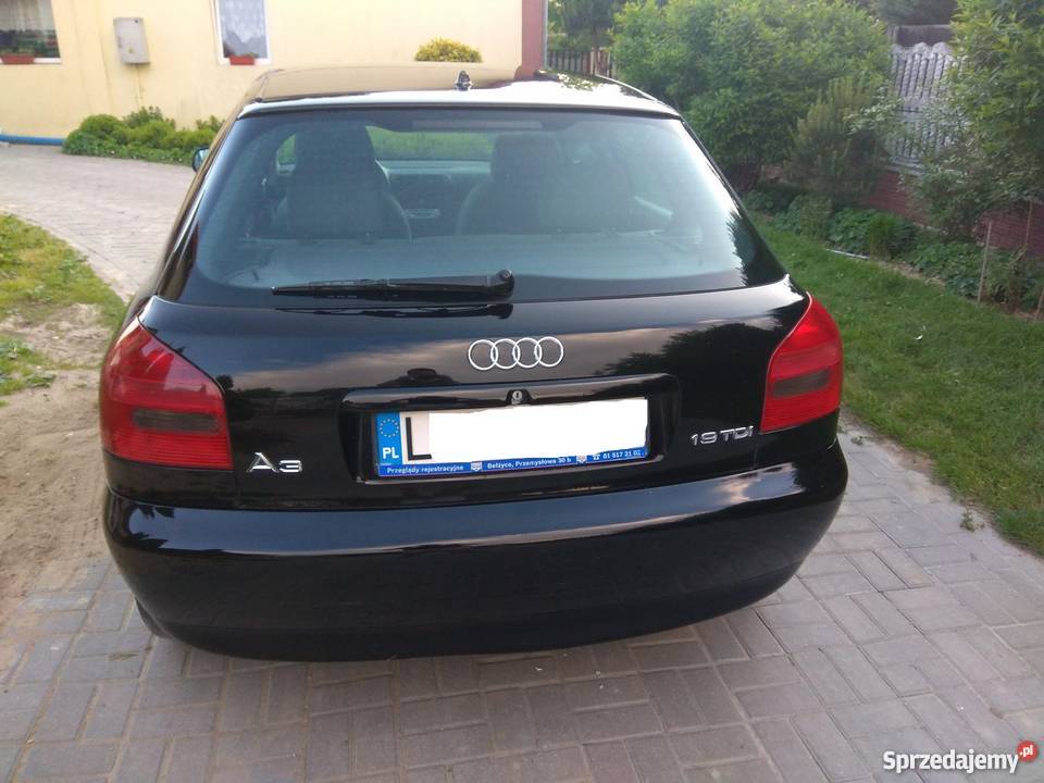 Audi A3 19 TDI 90 5 Drzwi 1 właściciel w Świdnik