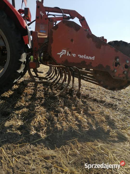 agregat uprawowo siewny wielkopolskie