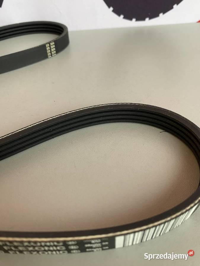 Pasek klinowy alternatora Massey Ferguson Silnik i osprzęt