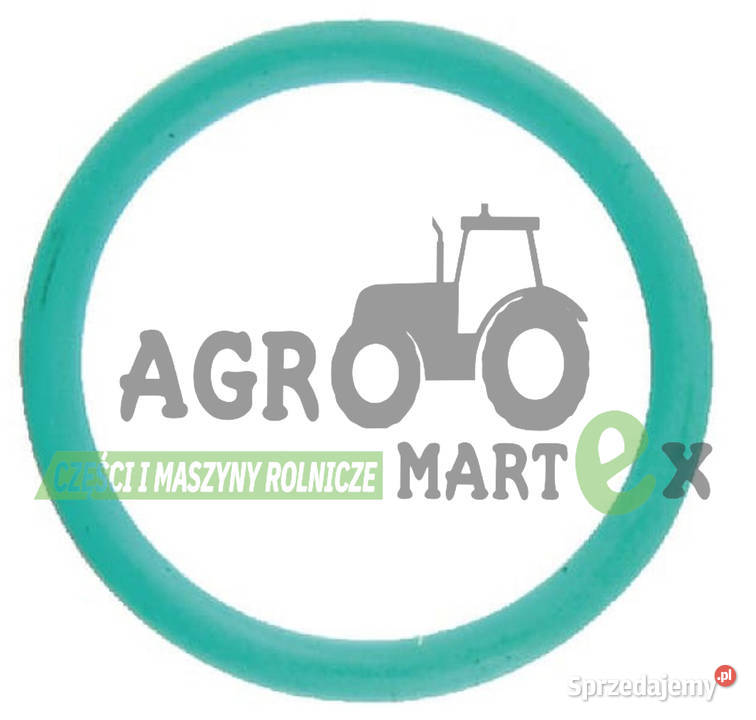 FC081 ORING 15x13 AMAZONE