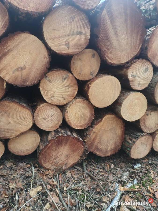 Drewno kominkowe opałowe Międzyrzecz