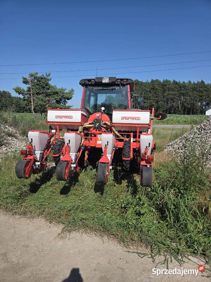 Siewnik do kukurydzy gaspardo Przasnysz