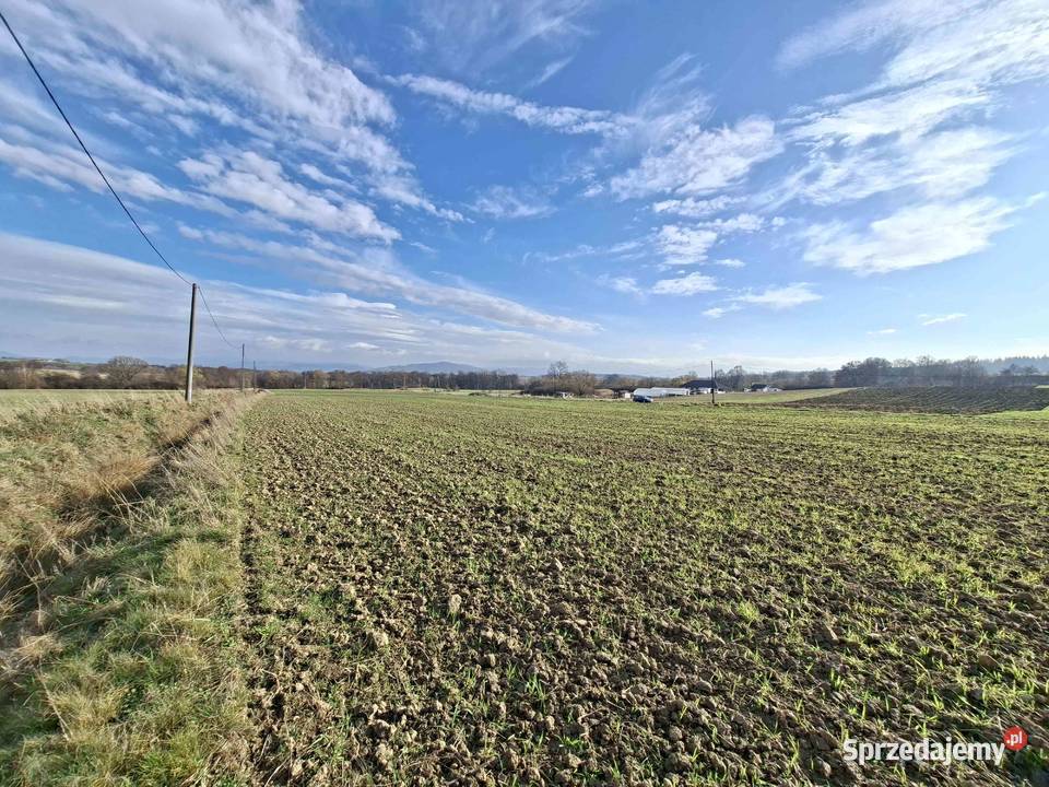 Działki budowlane Starków sprzedam
