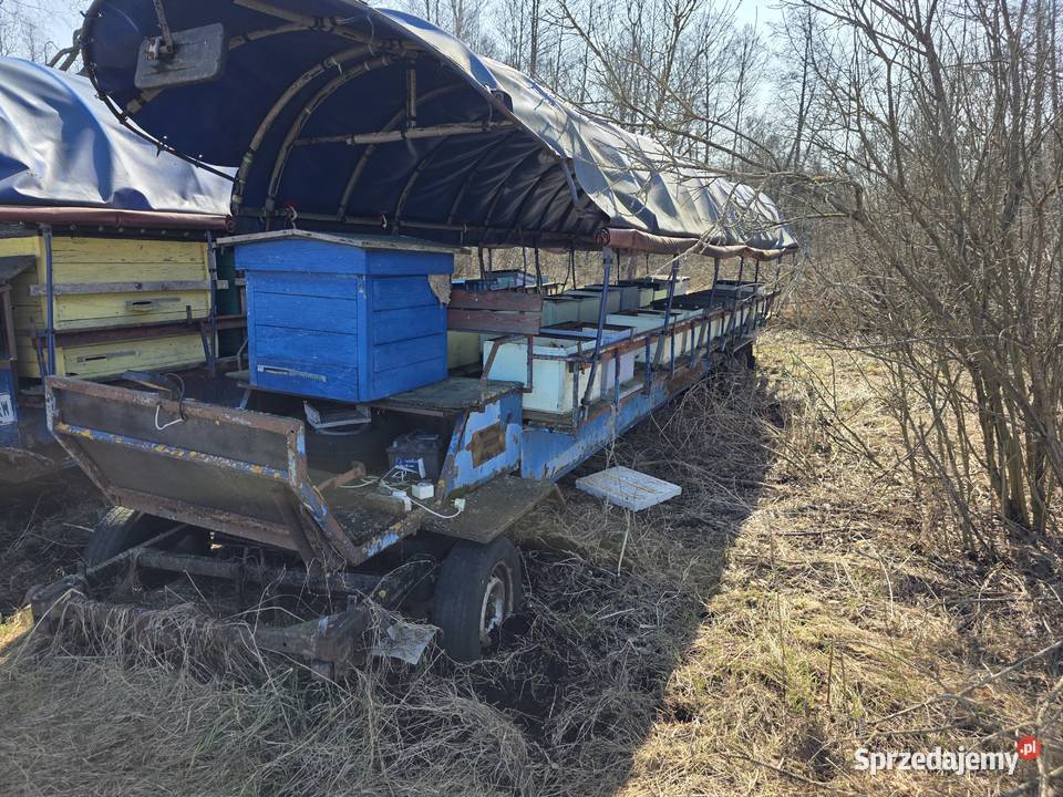 Wóz pasieczny Pszczelarstwo Wydminy