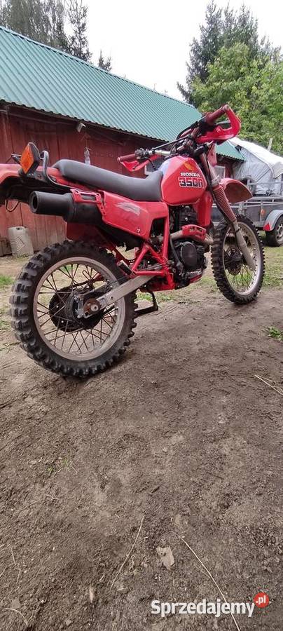 Honda Honda Dorohusk