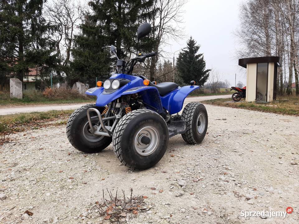 Quad rex 50cc Pozostałe Izbica Kujawska sprzedam