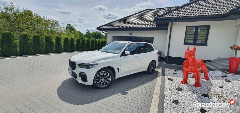 BMW X5 xDrive25d sport 2019 Diesel 4x4 Kalwaria Zebrzydowska