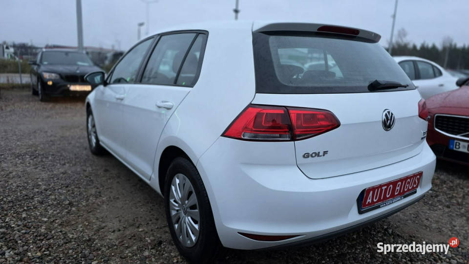 Volkswagen Golf Mały Przebieg climatronic VII 142000km Lębork