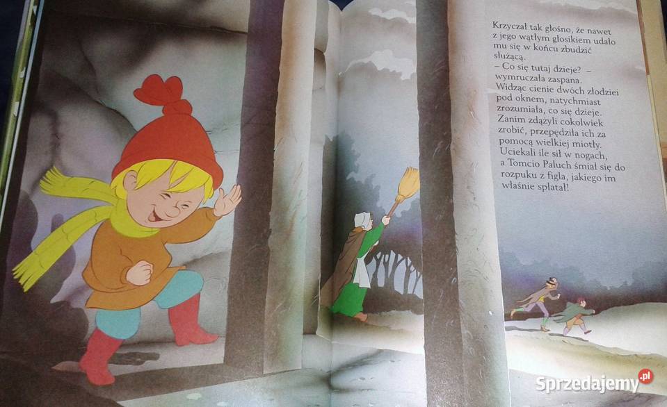 Tomcio Paluch Van Gool Chełm