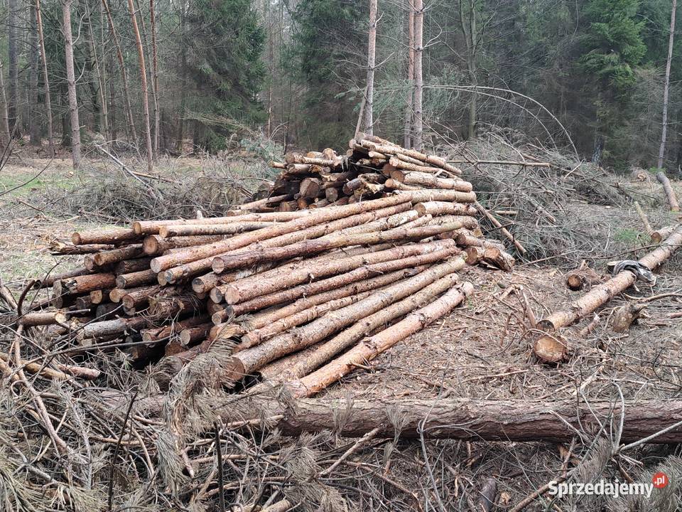 sprzedaz stepli budowlanych 3m opałsosnabrzoza śląskie