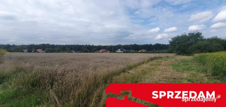 Piękna działka budowlana lasu 17arŚwidnik sprzedam