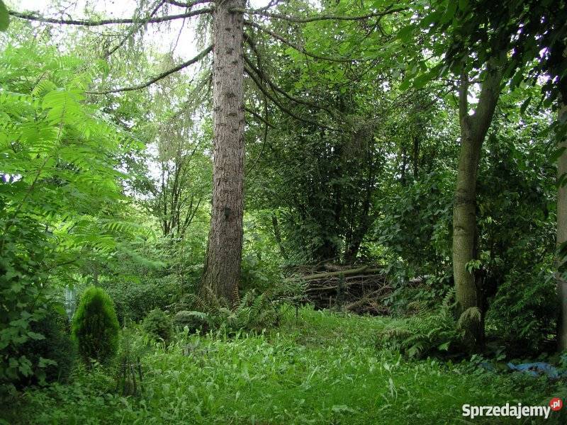 Działka rekreacyjna ROD Lublin