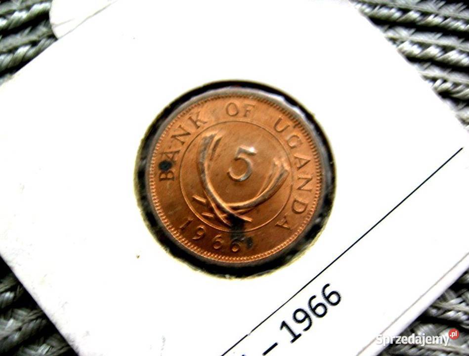 Uganda 5 Cent 1966r Numizmatyka Kalisz sprzedam