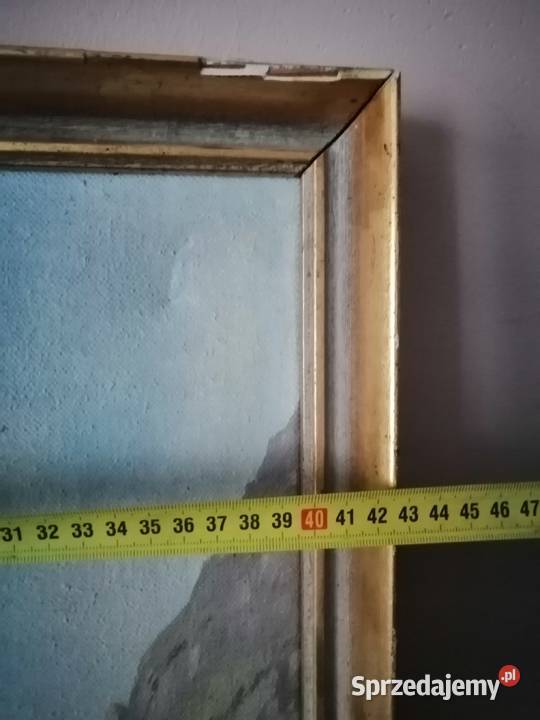 obraz recznie malowany na płótnie 57 dolnośląskie Legnica sprzedam
