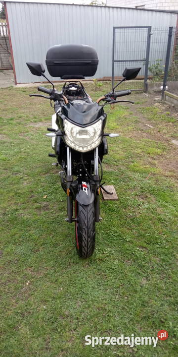 Motorower Benzer Bolt 50110 ccm 3 9818km