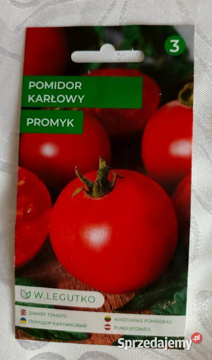 Sadzonka pomidora karłowatego Promyk Łódź