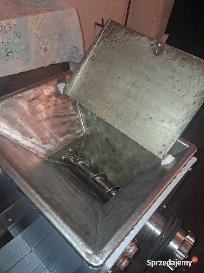 Wilk 82 miesa spomasz