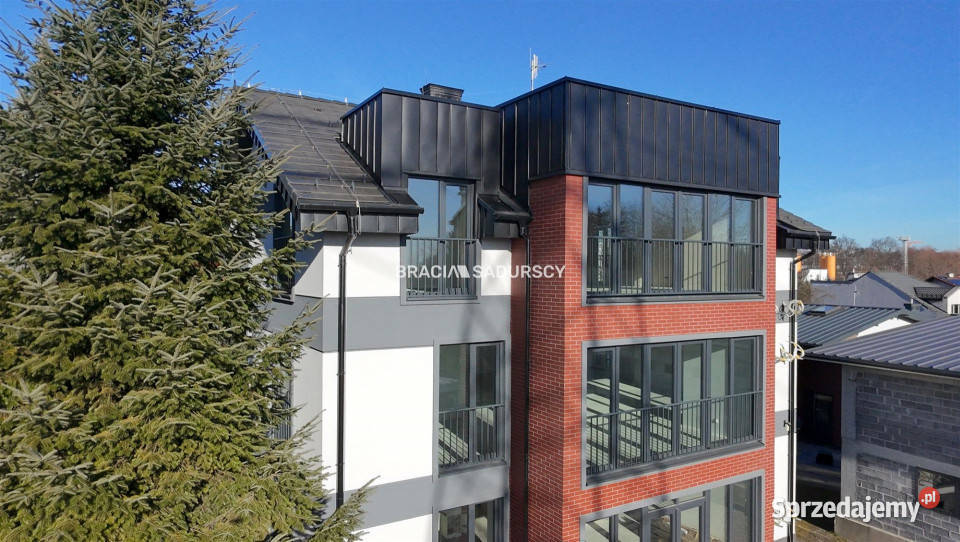 Lokal Kraków Łęg 310m2