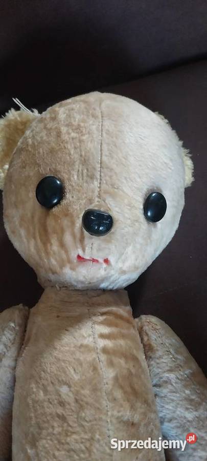 Stary miś Warszawa sprzedam