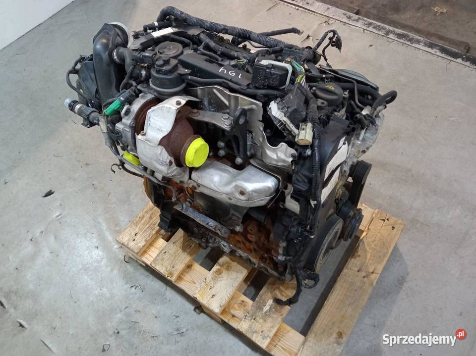 SILNIK KOMPLETNY DIESEL T7MA 10BYZS 20 TDCI BLUE