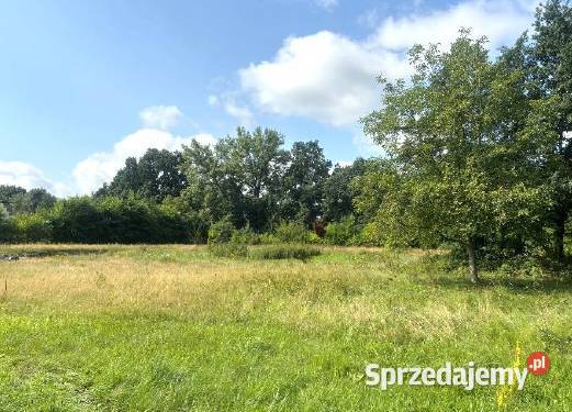 Syndyk sprzeda dom jednorodzinny I przetarg Ochaby Wielkie