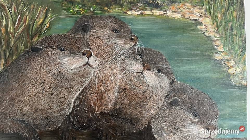 Obraz olejny Wydry oryginał 50 70 Zielona Góra
