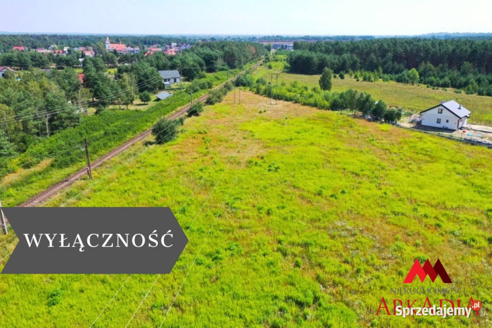 Działka Odolion 10831m2 Sprzedaż