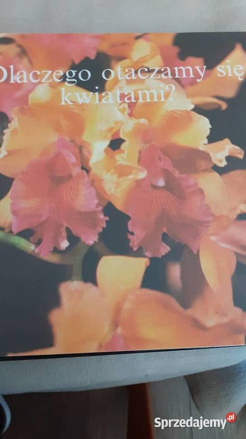 Układanki roślinne Szczecin