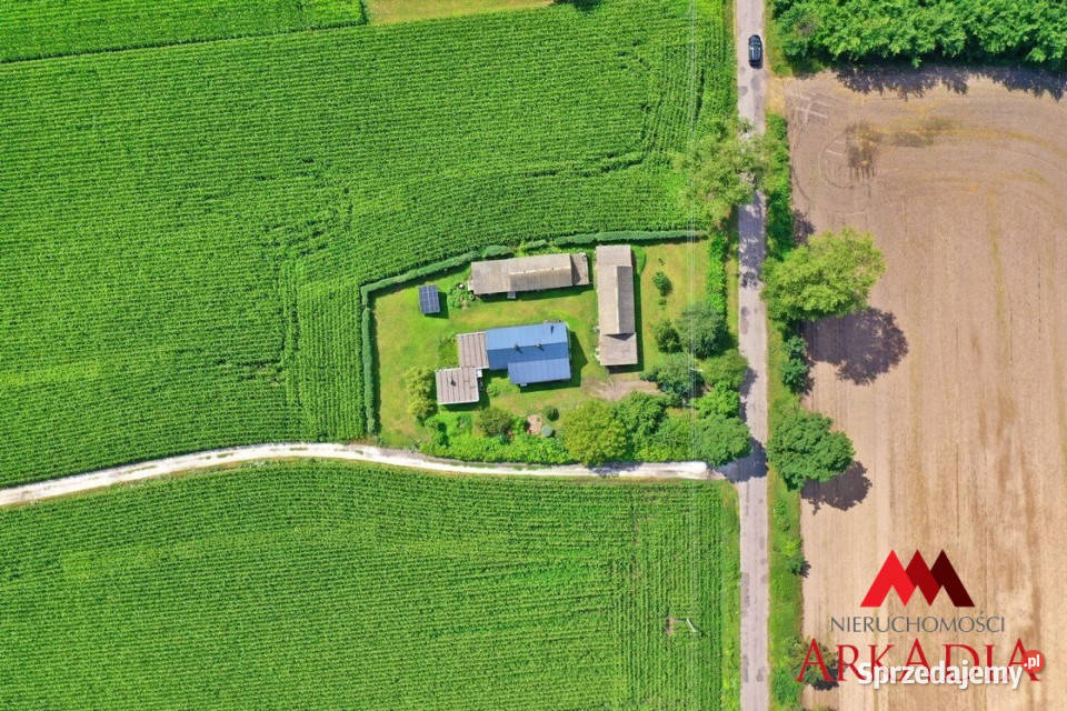 sprzedaży domu wolnostojącego Bodzanowo 364m2 do remontu