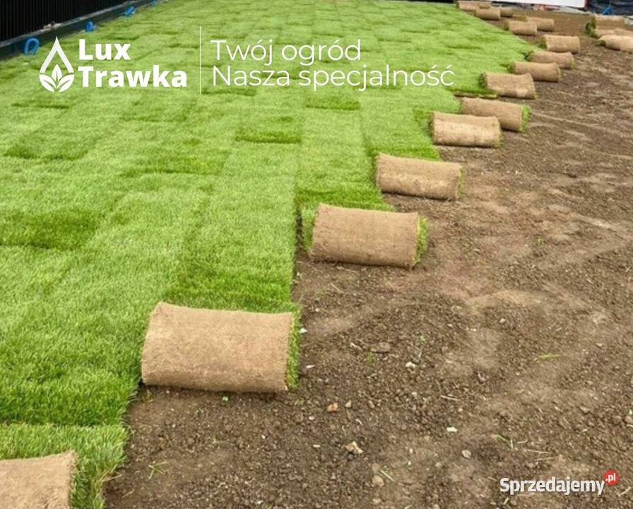 Trawa z rolki Trawa w rolce Przygotowanie Kraków