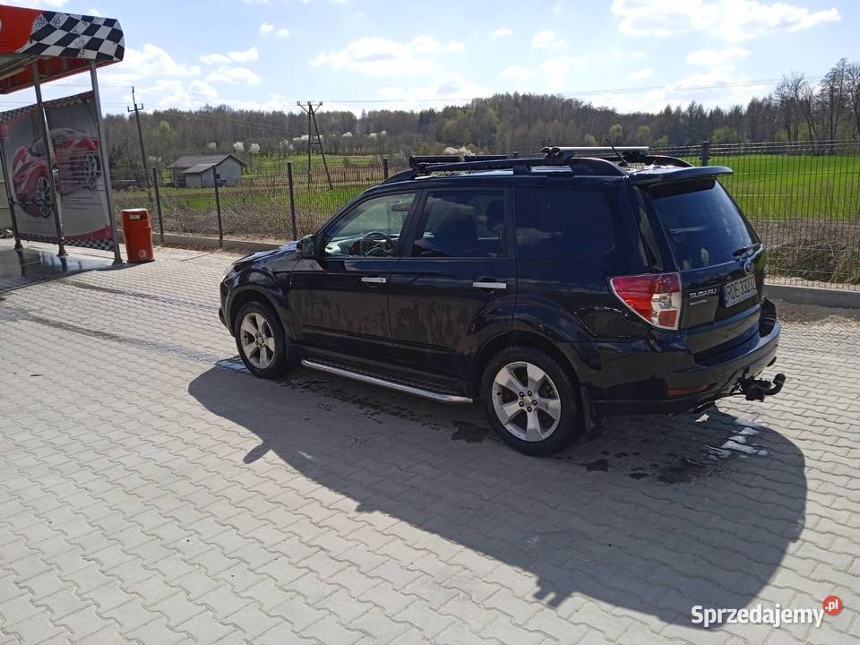 Subaru Forester światła przeciwmgielne Pilzno sprzedam