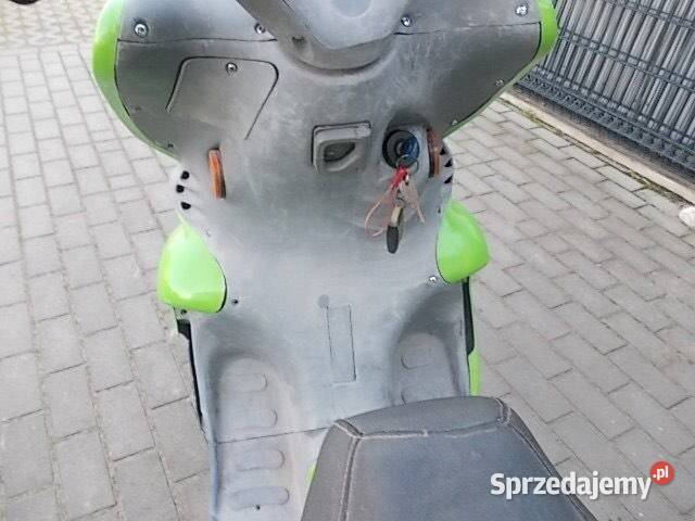 Neta Eikon Sędziszów Małopolski