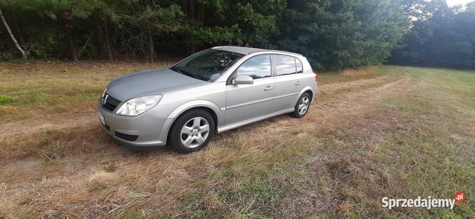 OPEL Signum 19 CDTI FL 2006 nieuszkodzony