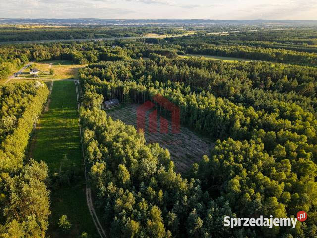 Działka 900m2 Czarna Sędziszowska 900m2 sprzedam